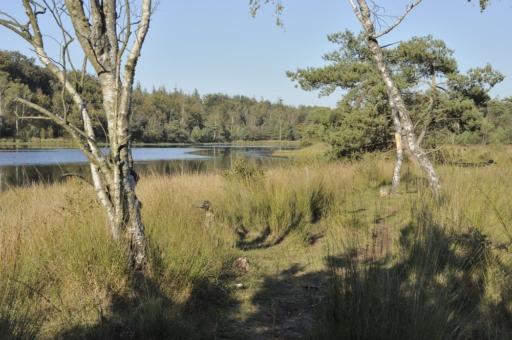 Leersumseplassen_170.jpg