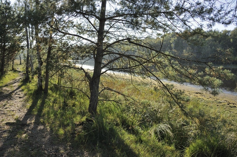 Leersumseplassen_181.jpg