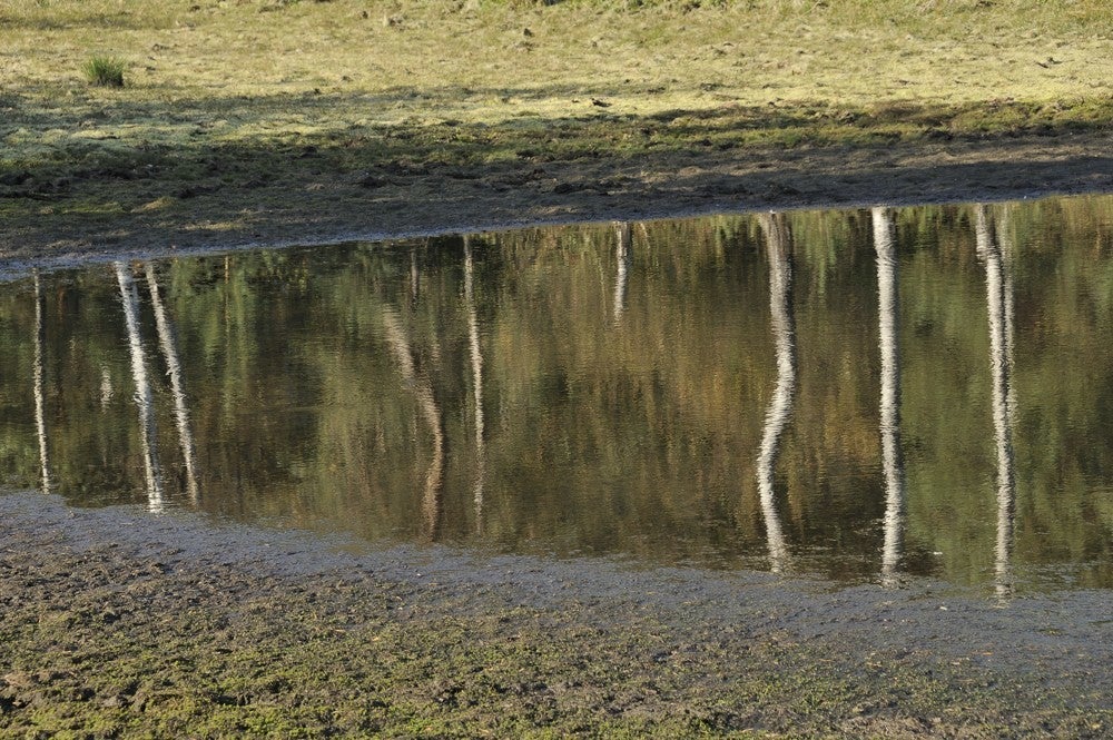 Leersumseplassen_191.jpg