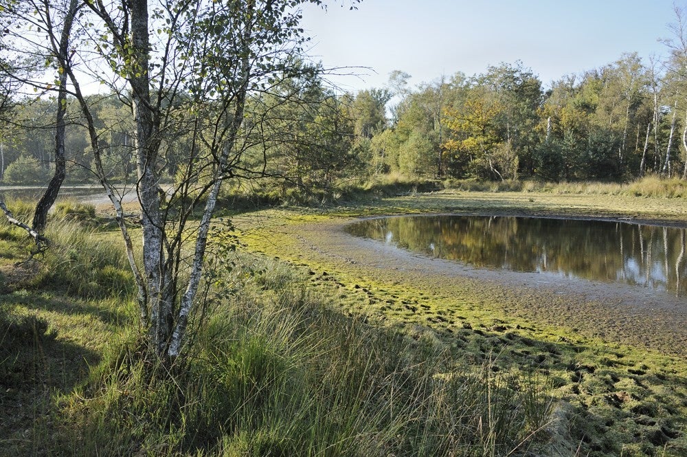 Leersumseplassen_195.jpg