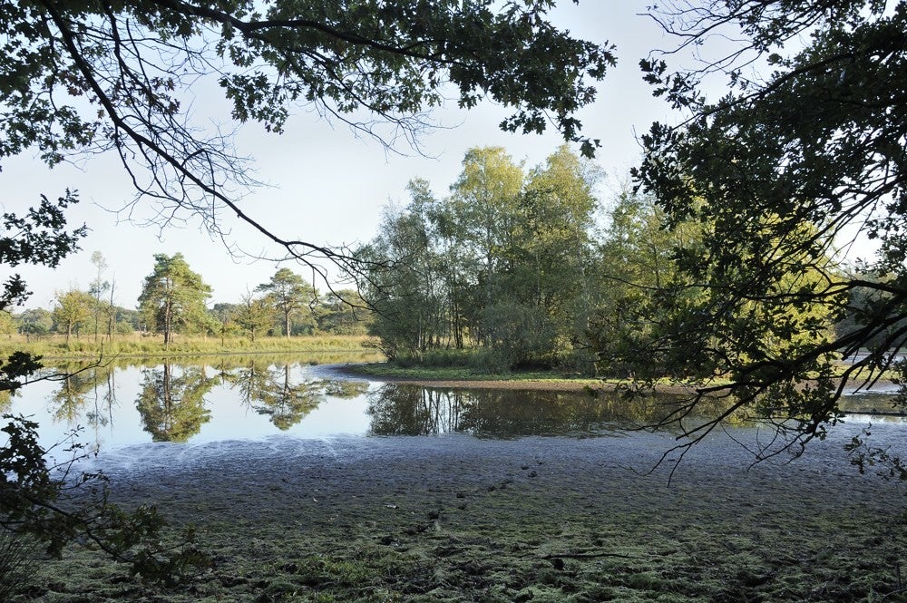 Leersumseplassen_204.jpg