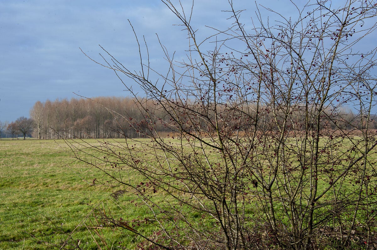 Leidschenhoevenpad Tricht Beesd