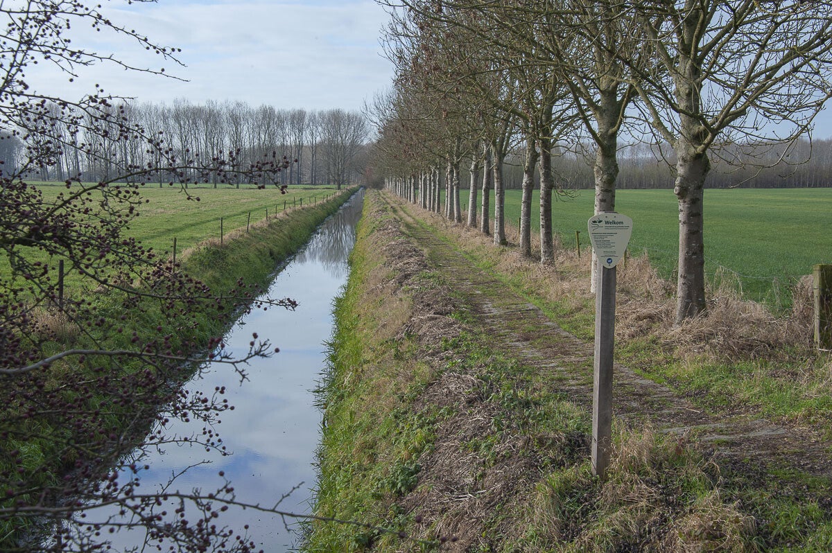 Leidschehoevenpad_004-1.jpg