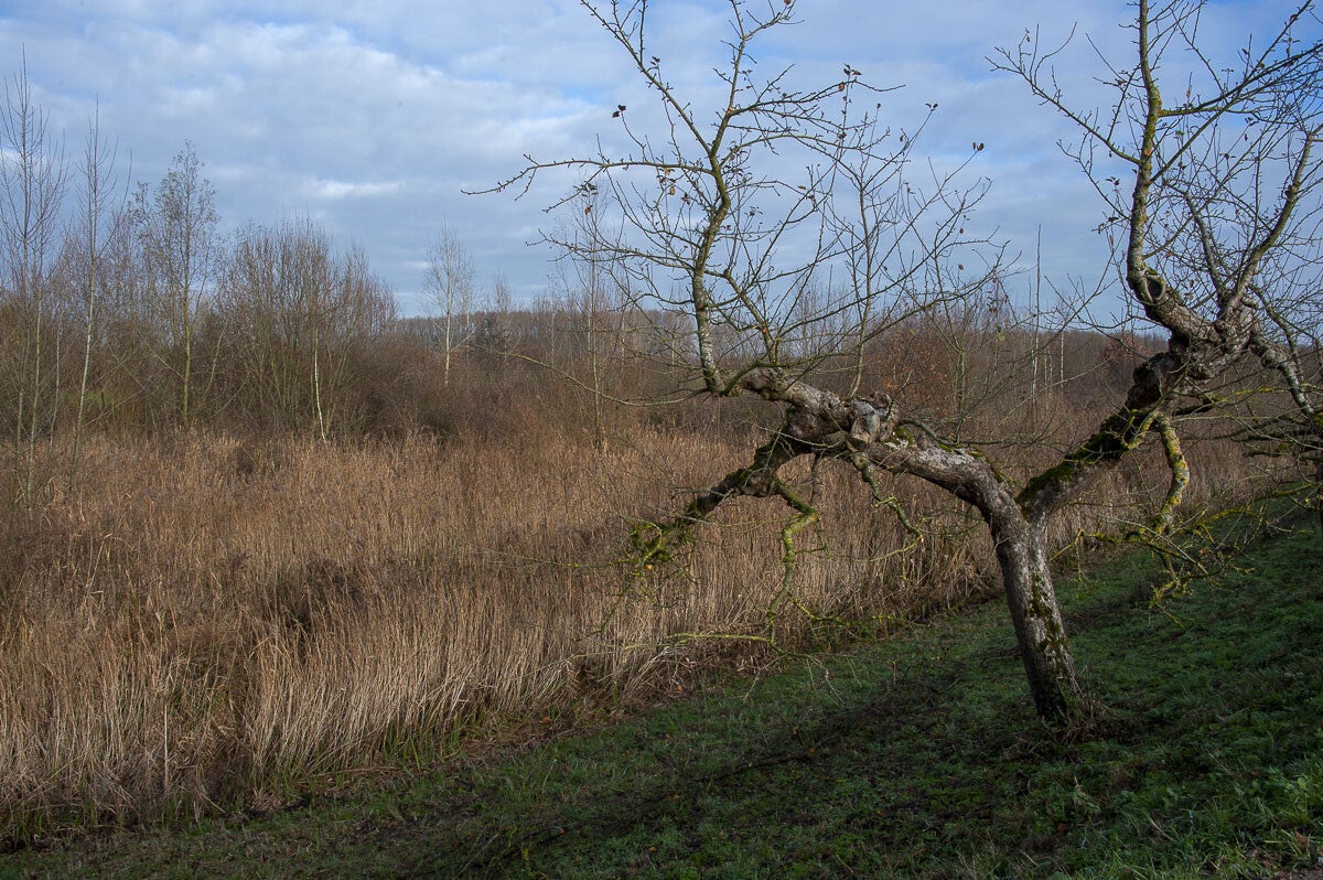 Leidschehoevenpad_006-1.jpg