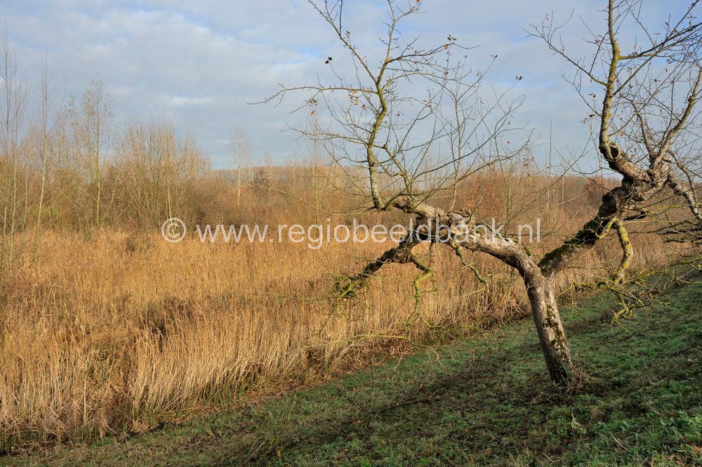 Leidschehoevenpad_006.jpg