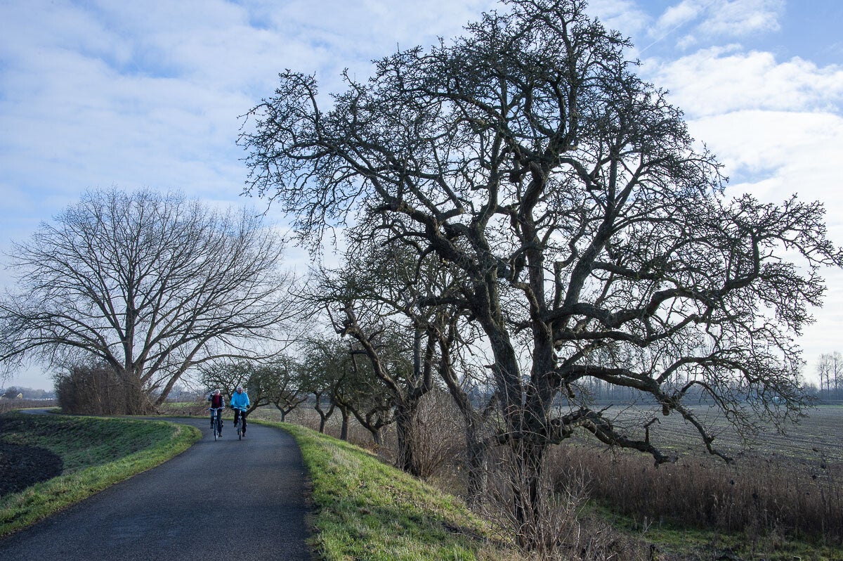 Leidschehoevenpad_014-1.jpg