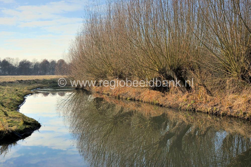 Leidschehoevenpad_020.jpg