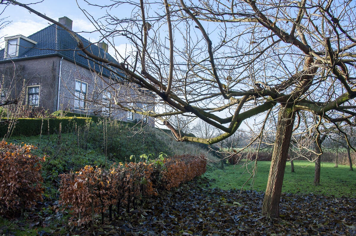 Leidschehoevenpad_024.jpg