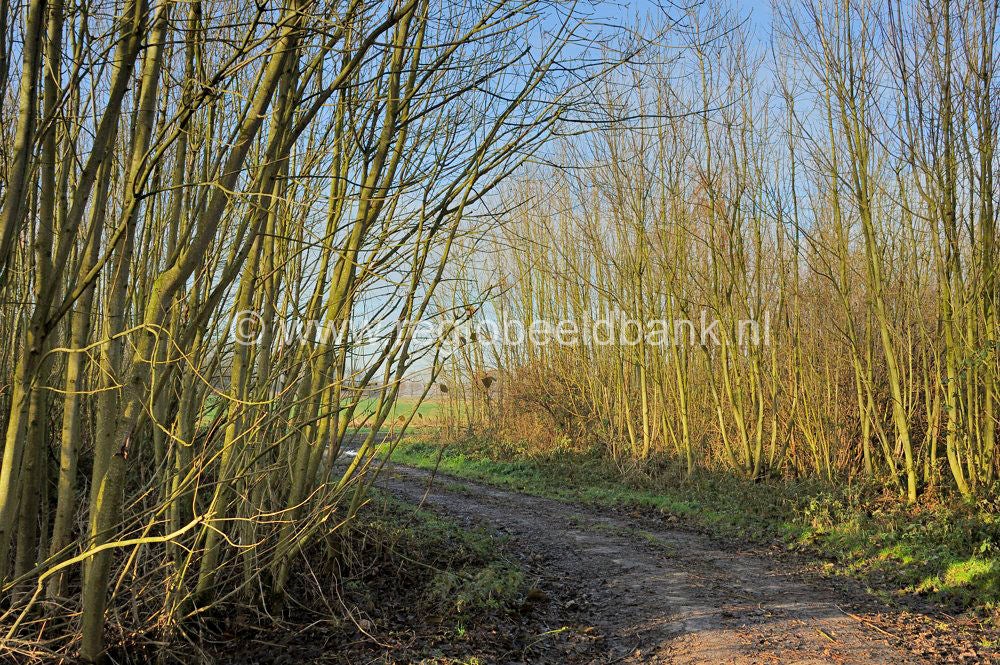 Leidschehoevenpad_025.jpg