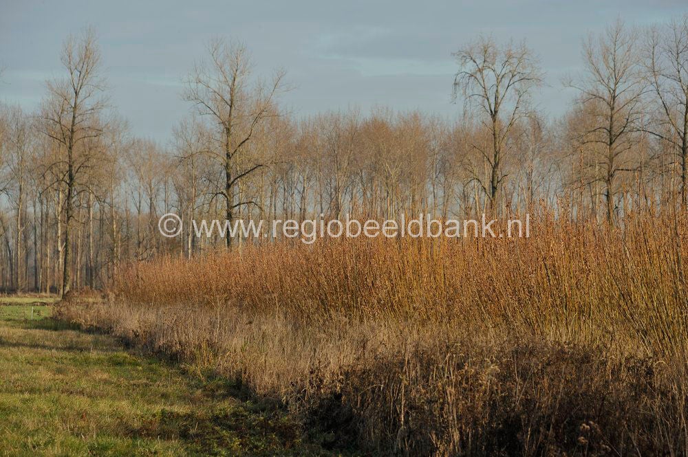 Leidschehoevenpad_028.jpg