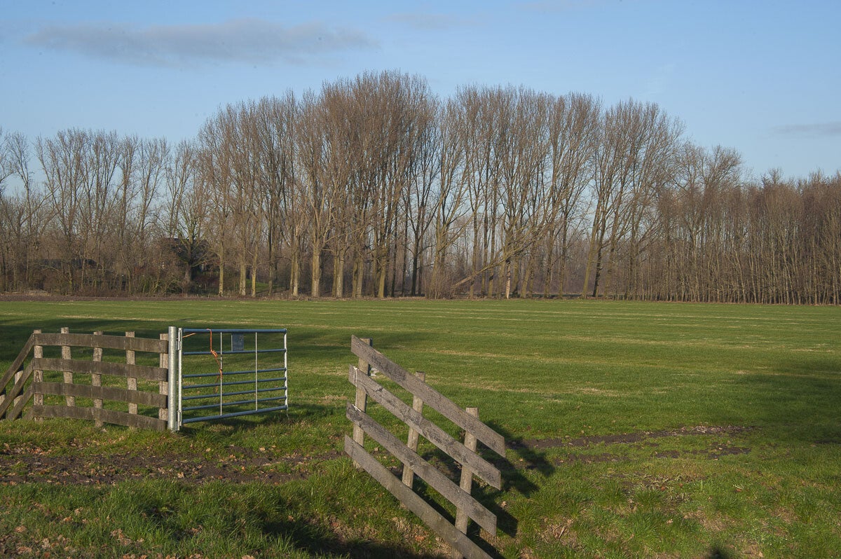 Leidschehoevenpad_041-1.jpg