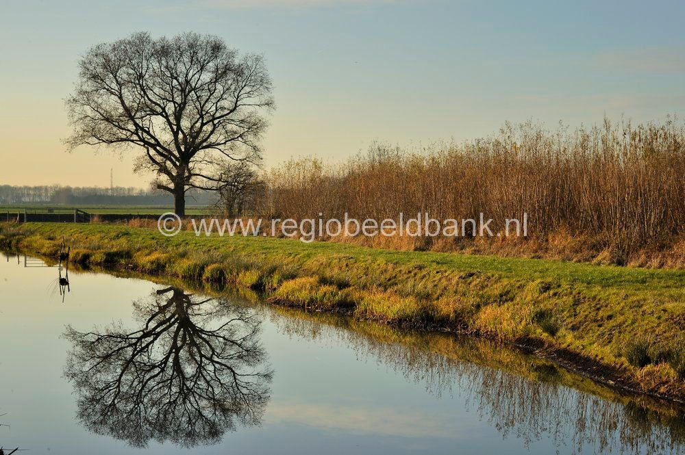 Leidschehoevenpad_043.jpg