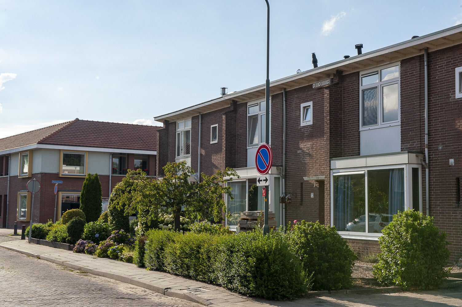 Lijsterbeslaan_0660.jpg