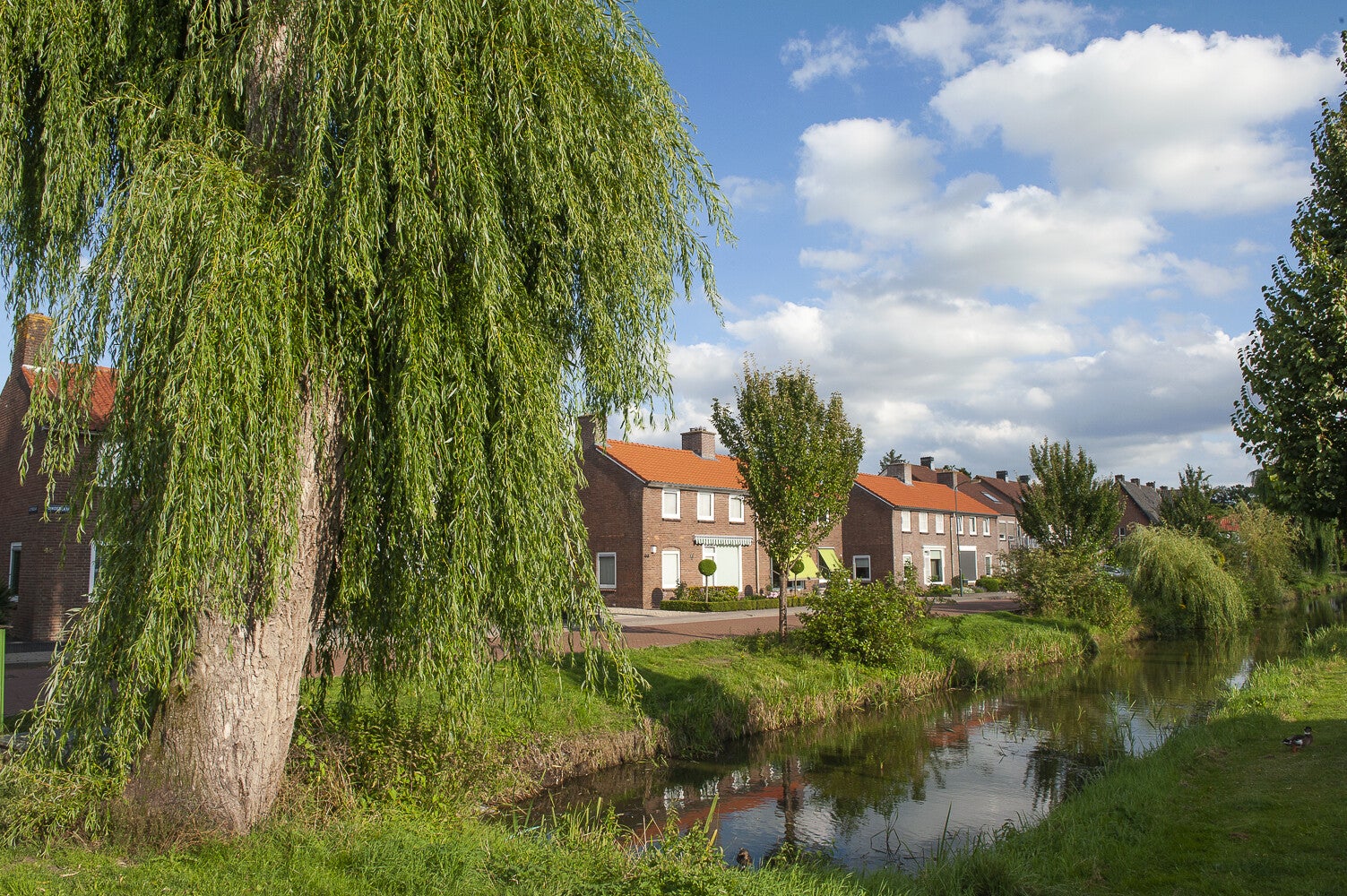 Lindelaan_0629-1.jpg