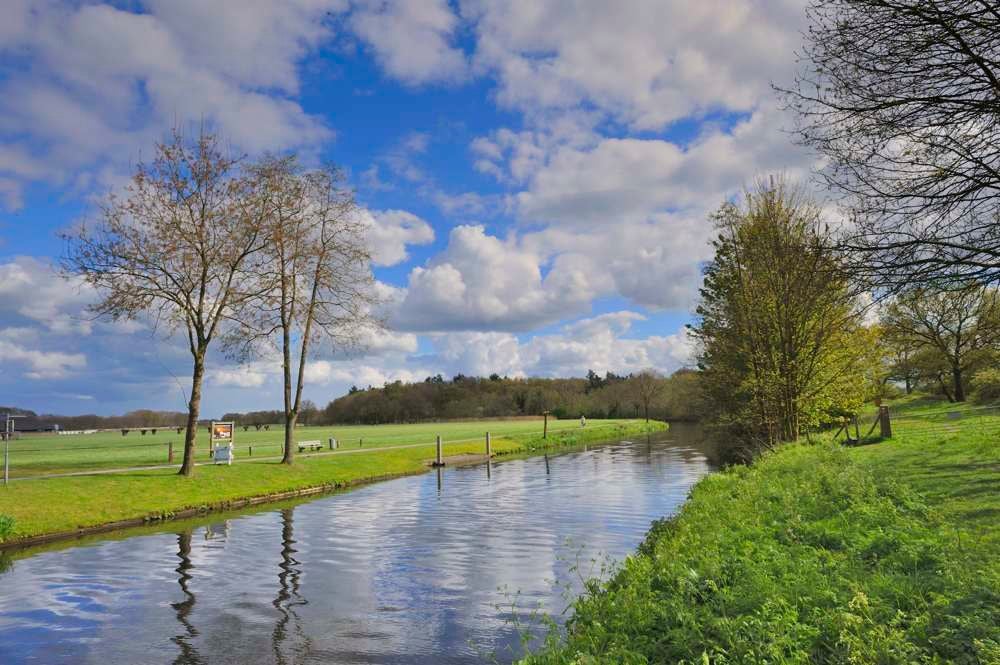 Liniedijk In Het Voorjaar