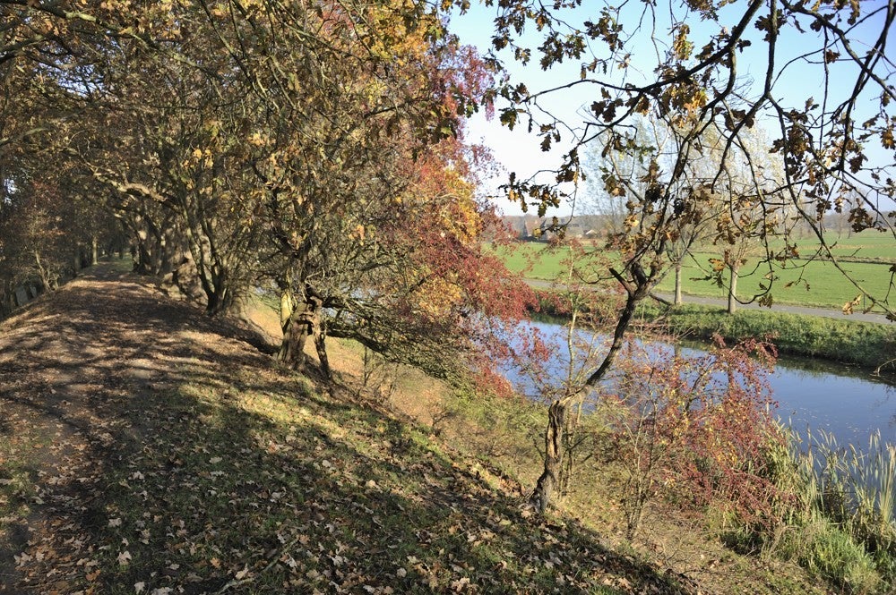 Liniedijk_Leusden_Scherpenzeel_004.jpg