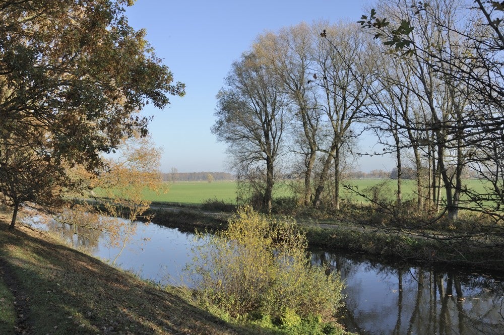 Liniedijk_Leusden_Scherpenzeel_006.jpg