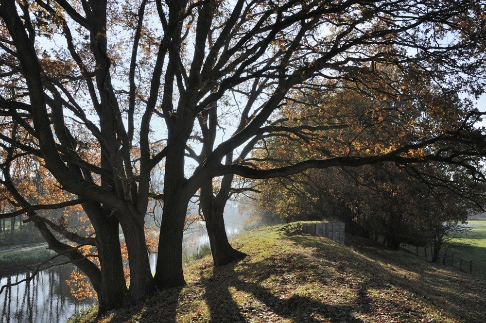 Liniedijk_Leusden_Scherpenzeel_007.jpg