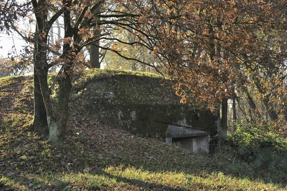 Liniedijk_Leusden_Scherpenzeel_011.jpg
