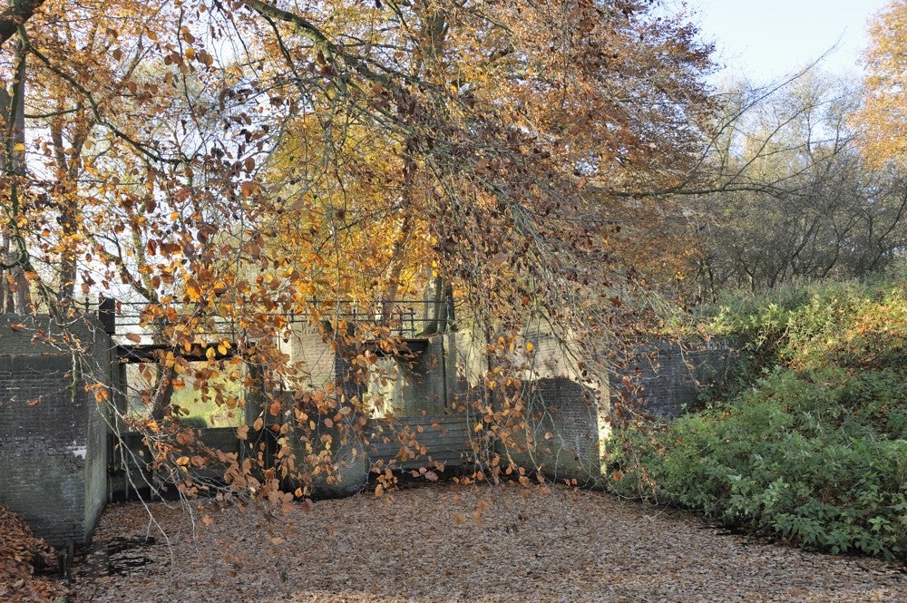 Liniedijk_Leusden_Scherpenzeel_019.jpg