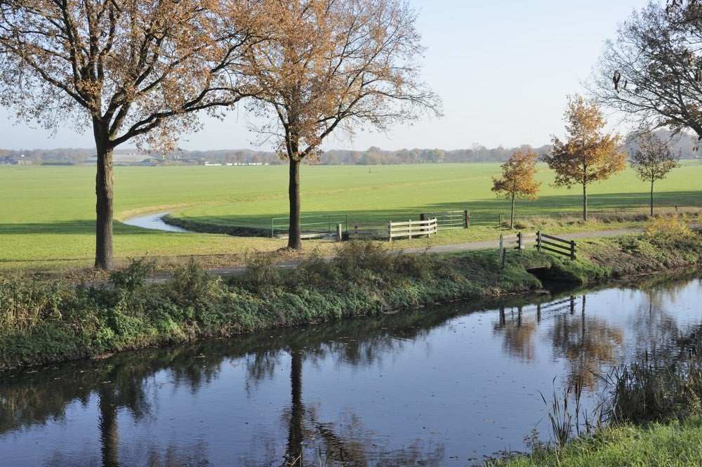 Liniedijk_Leusden_Scherpenzeel_022.jpg