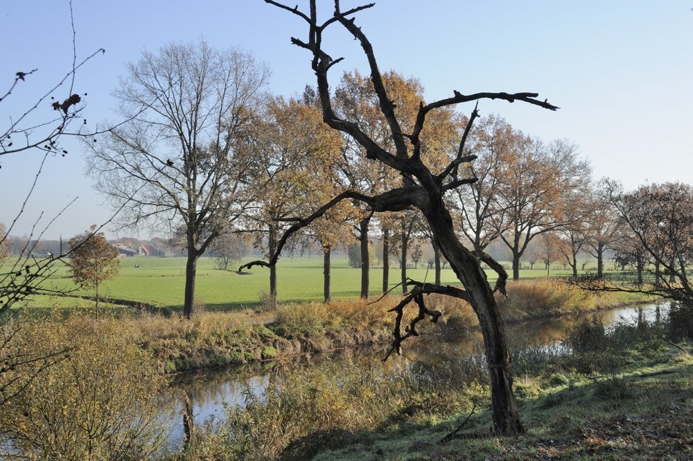 Liniedijk_Leusden_Scherpenzeel_026.jpg