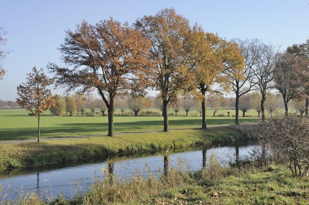 Liniedijk_Leusden_Scherpenzeel_029.jpg