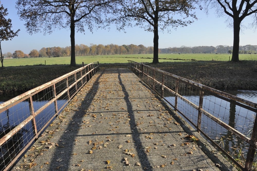 Liniedijk_Leusden_Scherpenzeel_031.jpg