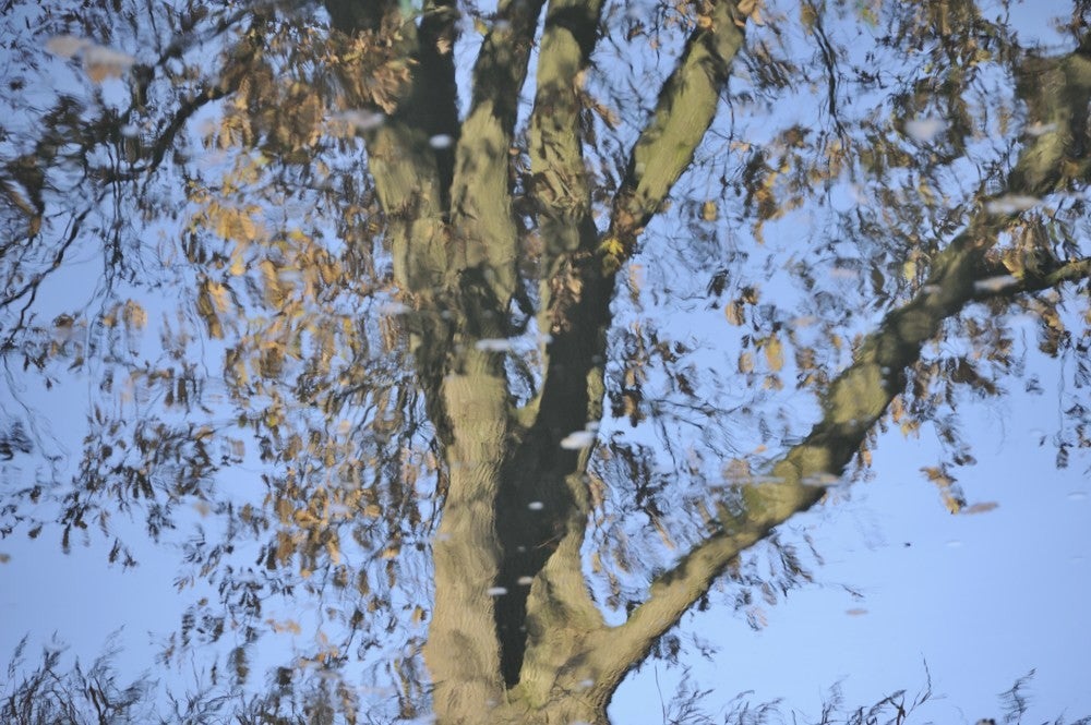 Liniedijk_Leusden_Scherpenzeel_035.jpg