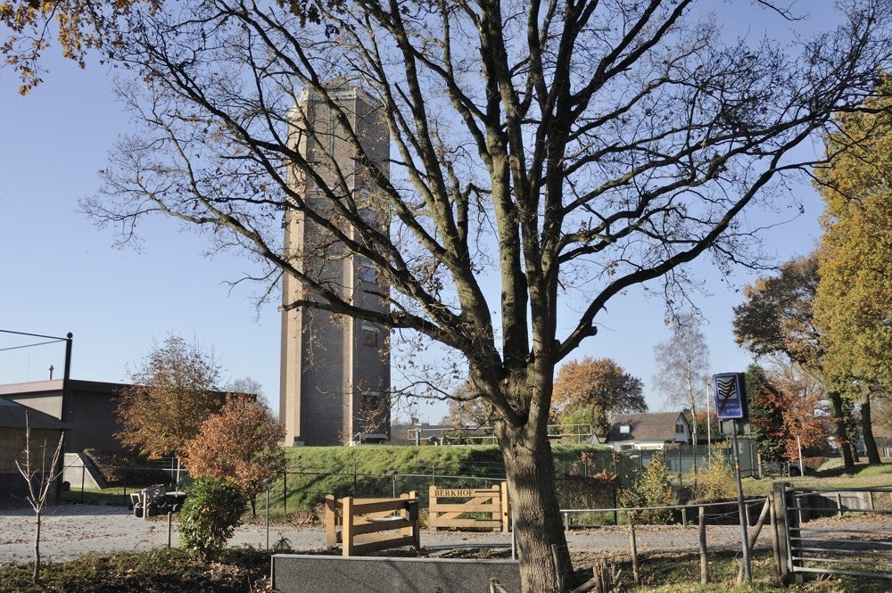 Liniedijk_Leusden_Scherpenzeel_050.jpg