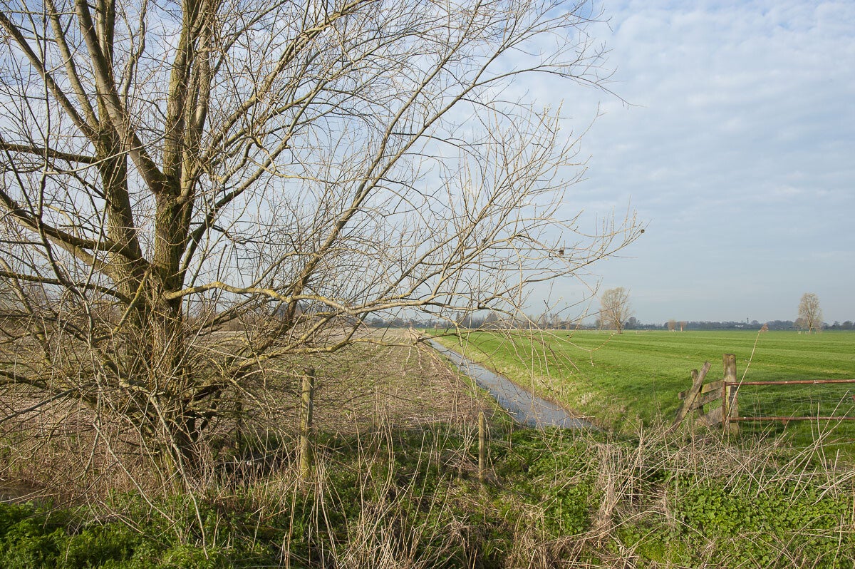 Lintenliniepad_060.jpg