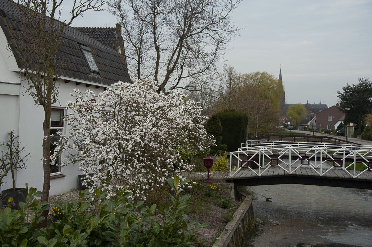 Lintenliniepad_066.jpg