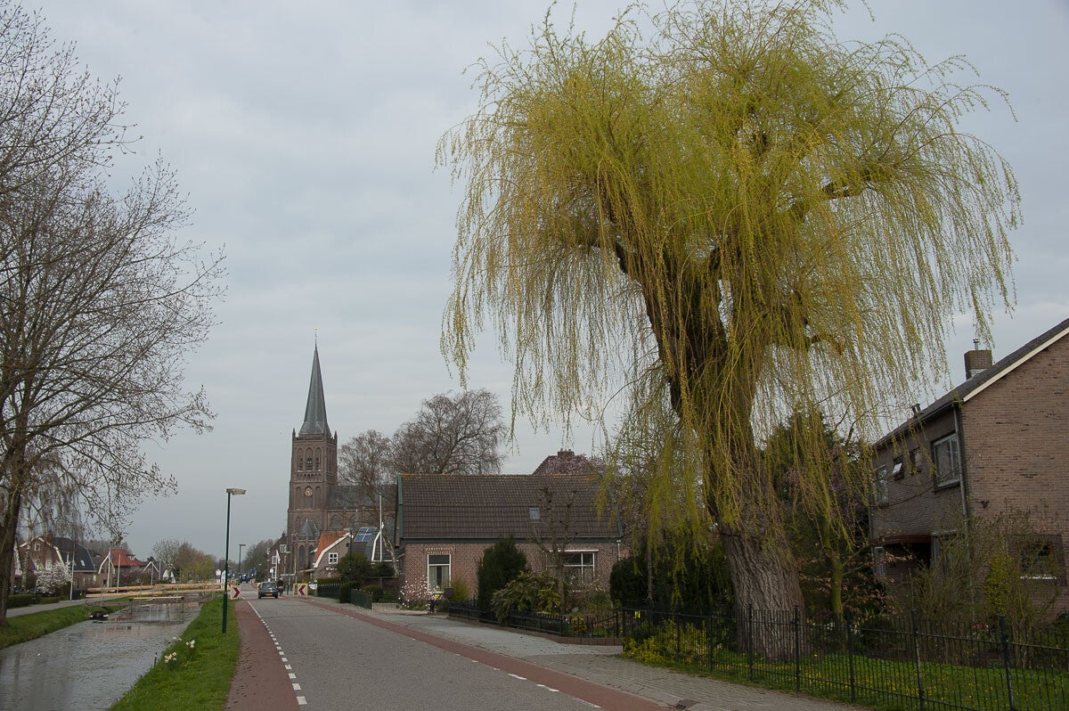 Lintenliniepad_071.jpg