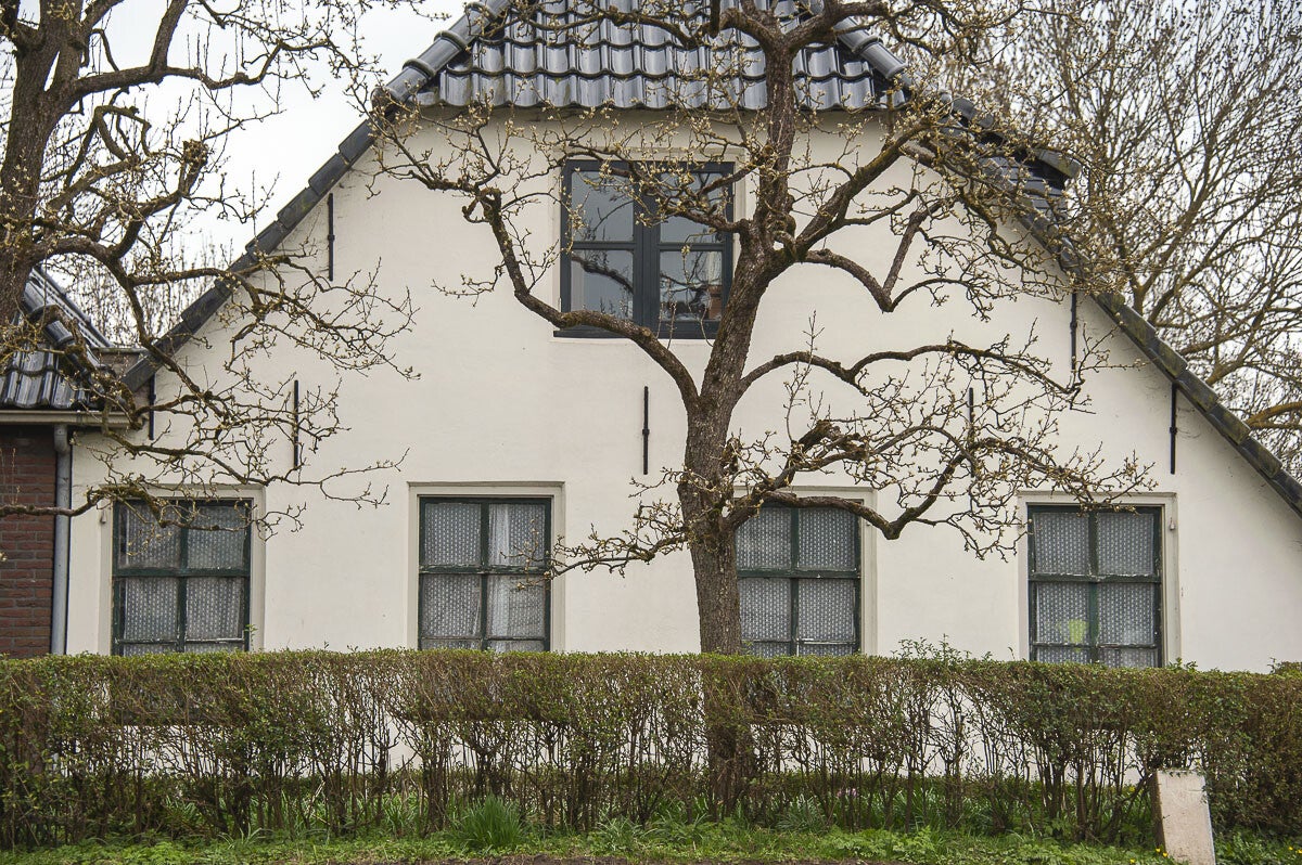 Lintenliniepad_079.jpg