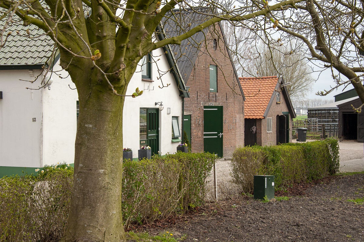 Lintenliniepad_092-1.jpg