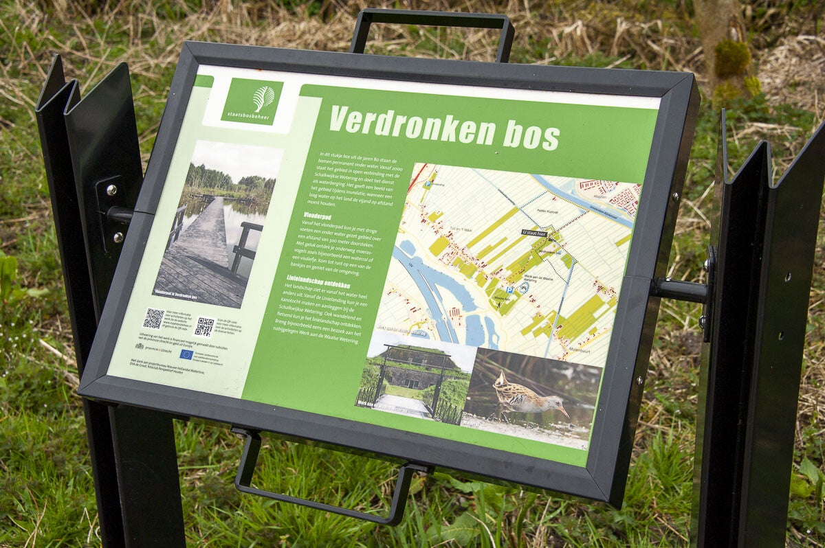 Lintenliniepad_094.jpg