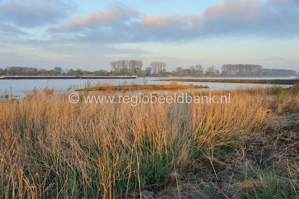Uiterwaarden Rijn En Waal