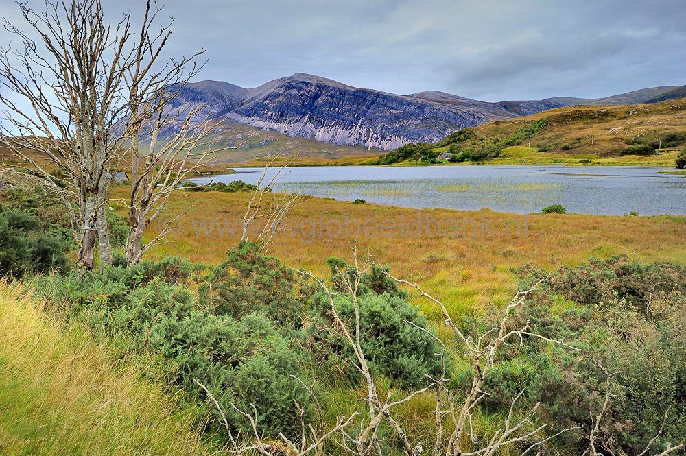 Loch_Stack_008.jpg