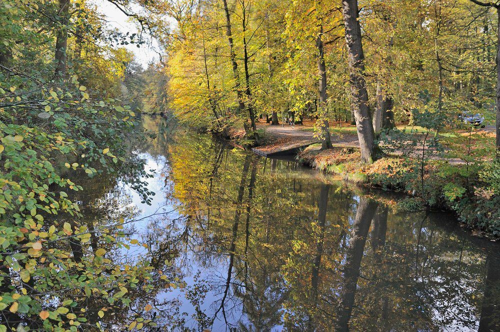 Lockhorsterbos_001-1.jpg