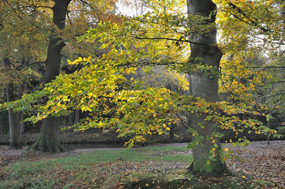 Lockhorsterbos_002-1.jpg