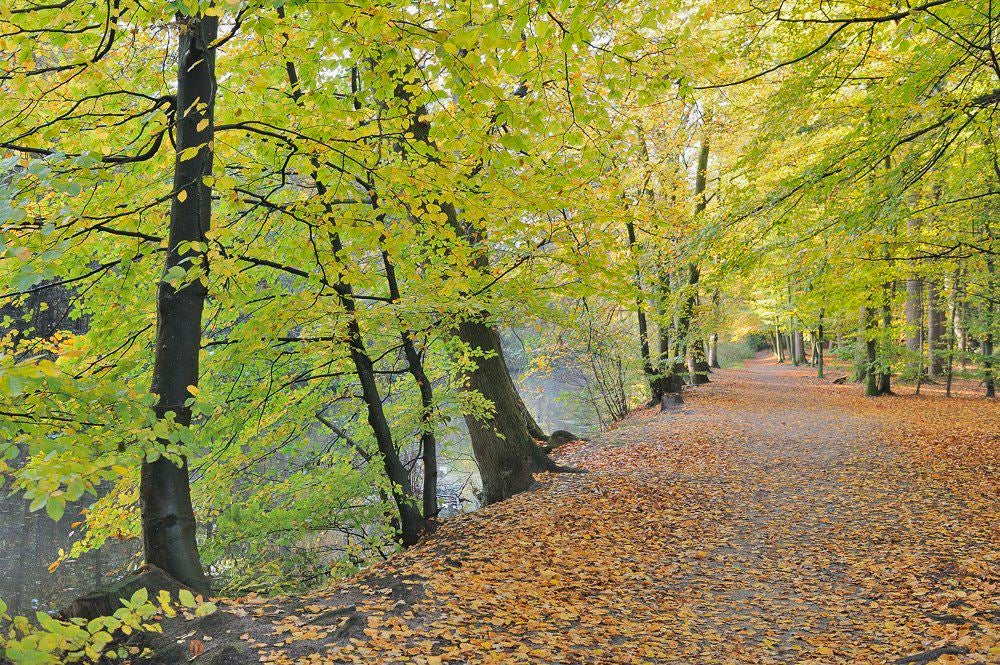 Lockhorsterbos_004-1.jpg