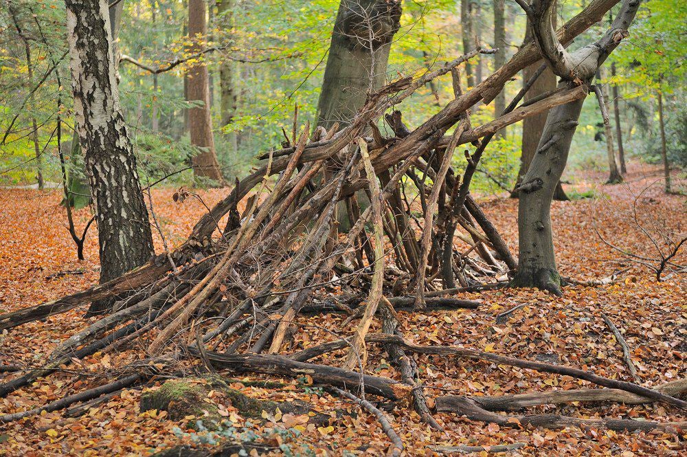Lockhorsterbos_016.jpg