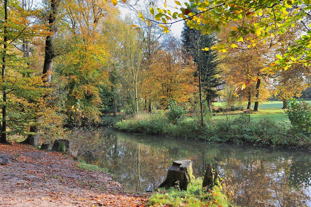 Lockhorsterbos_020.jpg