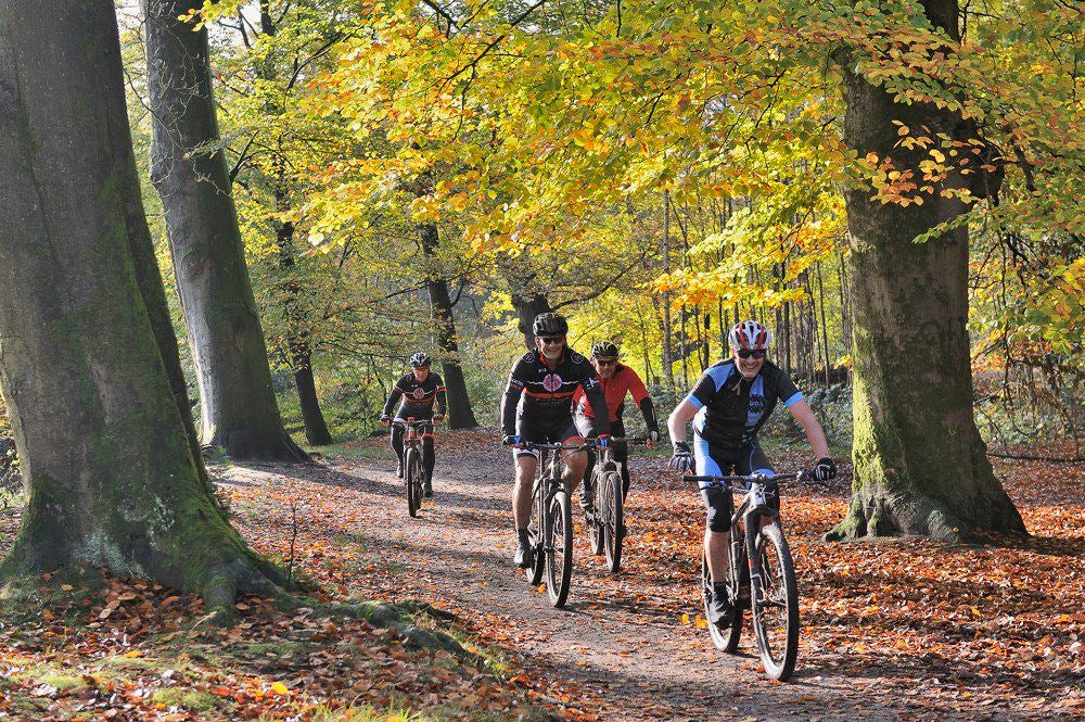 Lockhorsterbos_026.jpg