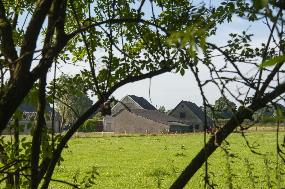 Loenense Enkenpad Loenen 02 10 2015