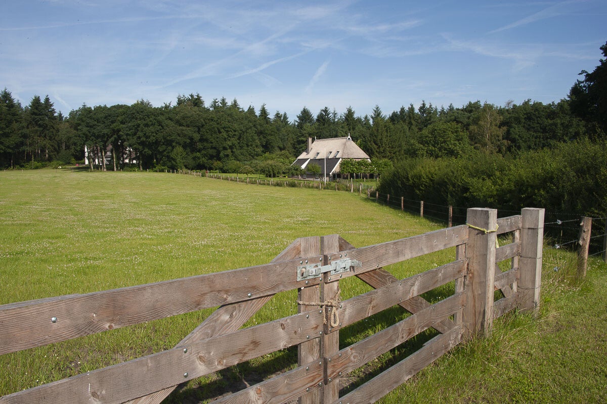 Loenense_Enkenpad_004-1.jpg