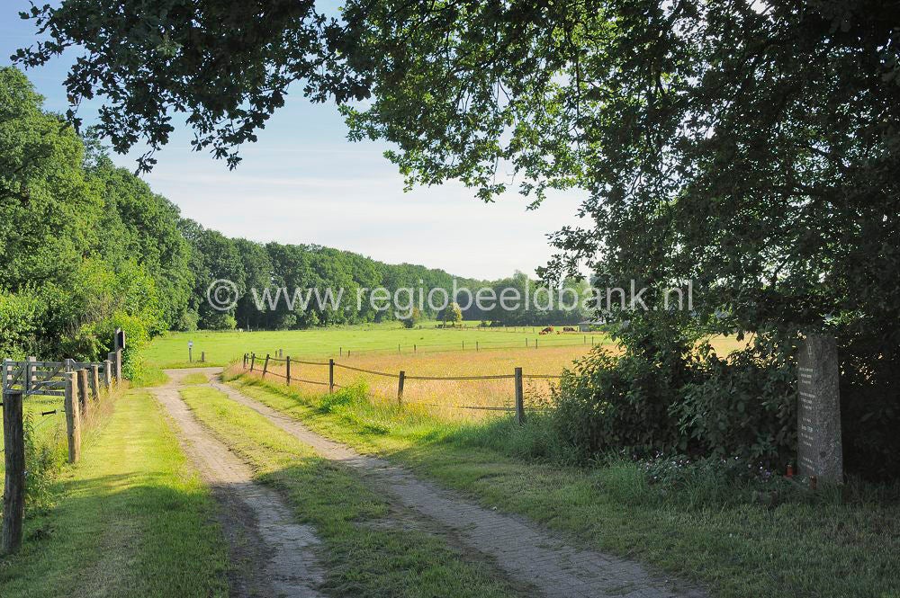 Loenense_Enkenpad_007.jpg