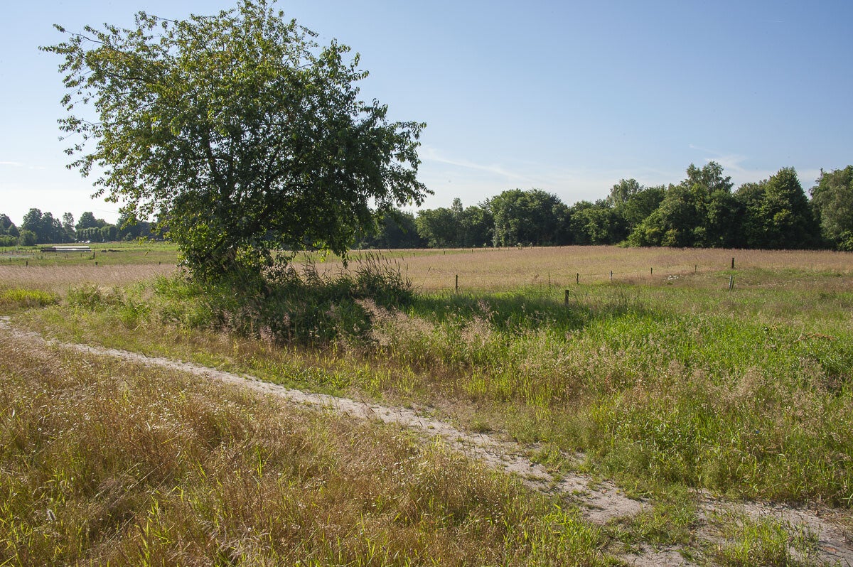 Loenense_Enkenpad_019-2.jpg