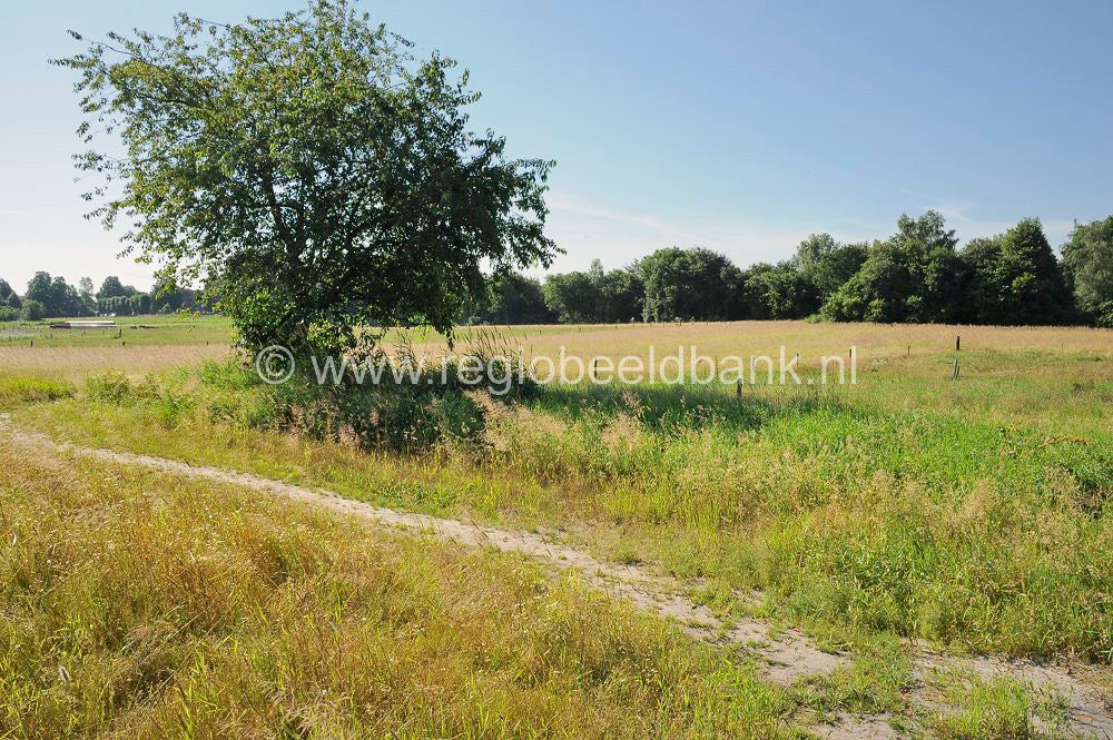 Loenense_Enkenpad_019.jpg