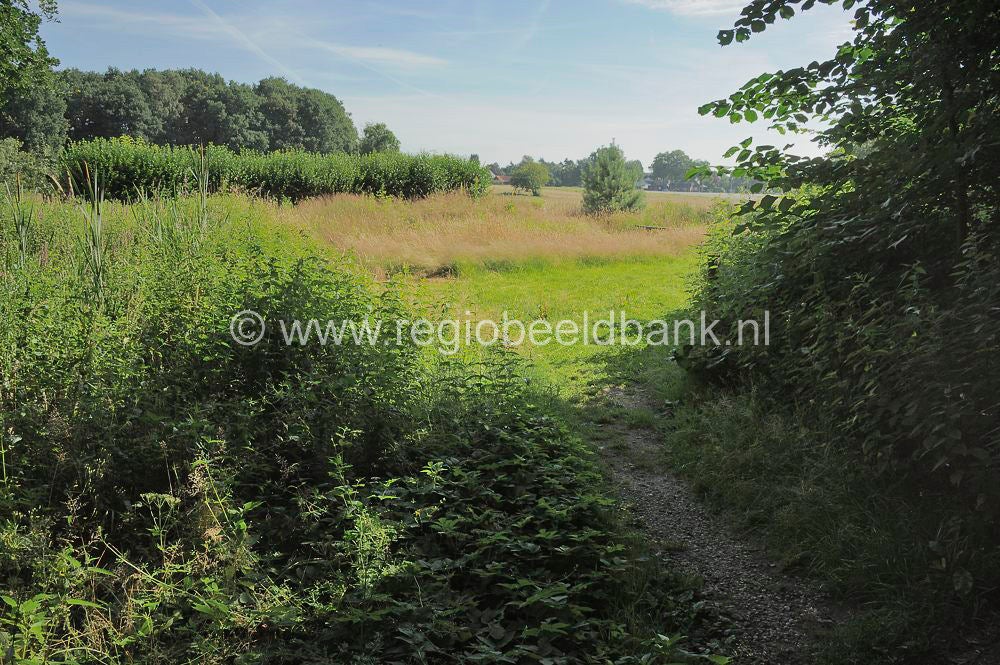 Loenense_Enkenpad_024.jpg